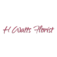 H Watts Florists 1061632 Image 9